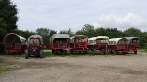 170820-1126-37DSC04470